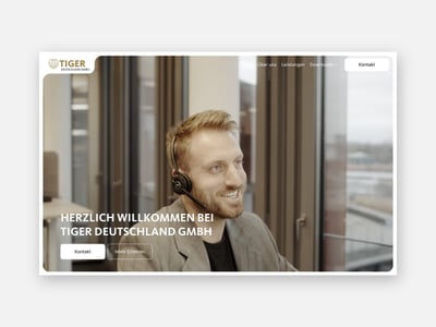 TIGER Deutschland: 21.383 Sitzungen in 13 Monaten, ohne Werbebudget - SEO