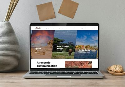 Waxeho.com - Website Creation