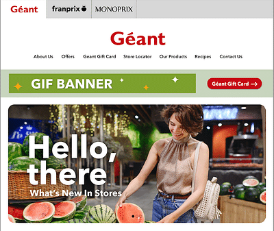 A unified website for - Geant, Franprix & Monoprix - Video Production