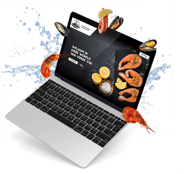 De Visfactorij - 700 e-commerce orders in 1e maand - Digital Strategy