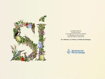 Sí al Delta - Diseño Gráfico