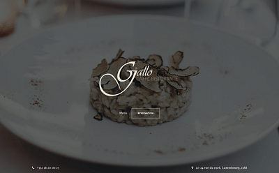 Building brand awareness for a Restaurant - Création de site internet