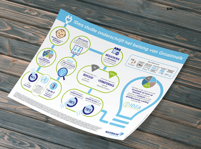 Infographic - Ontwerp