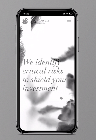 Projekt / Grey Swan Risk Management. - Werbung