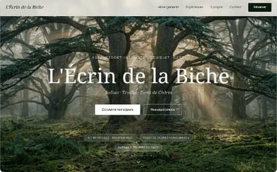 L'Écrin de la Biche — Hébergement insolite - Création de site internet