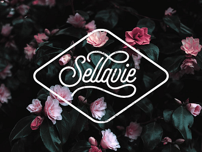 Sellavie Branding Web Design - Website Creation
