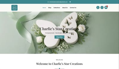 Ecommerce Website - Création de site internet