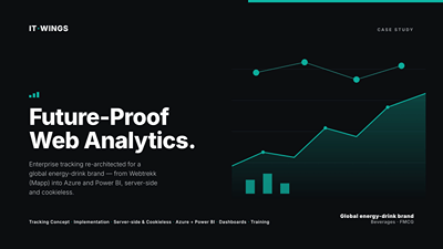 Digital Analytics & Data Project for a global energy-drink brand - Webanalytik/Big Data