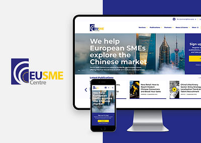 EU SME Centre Website - SEO