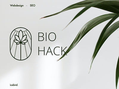 Stratégie digitale - BioHack - Stratégie digitale