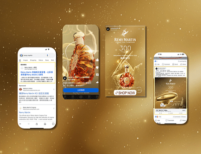 Targeted Ad Campaigns for Wine & Spirits Brand - Publicité en ligne