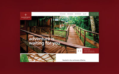 Jaguar Creek Website - Graphic Design