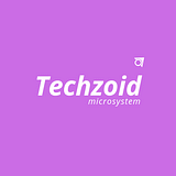 Techzoid Microsystem