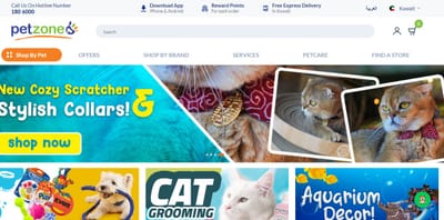 Headless E-Commerce Store Design & Development - E-commerce