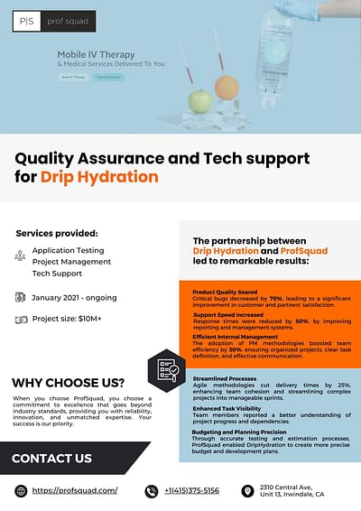 Quality Assurance, PM and Tech Support - Software Development