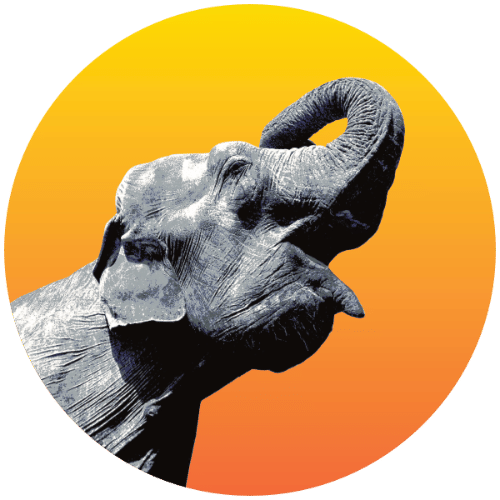 Radiant Elephant