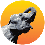 Radiant Elephant logo