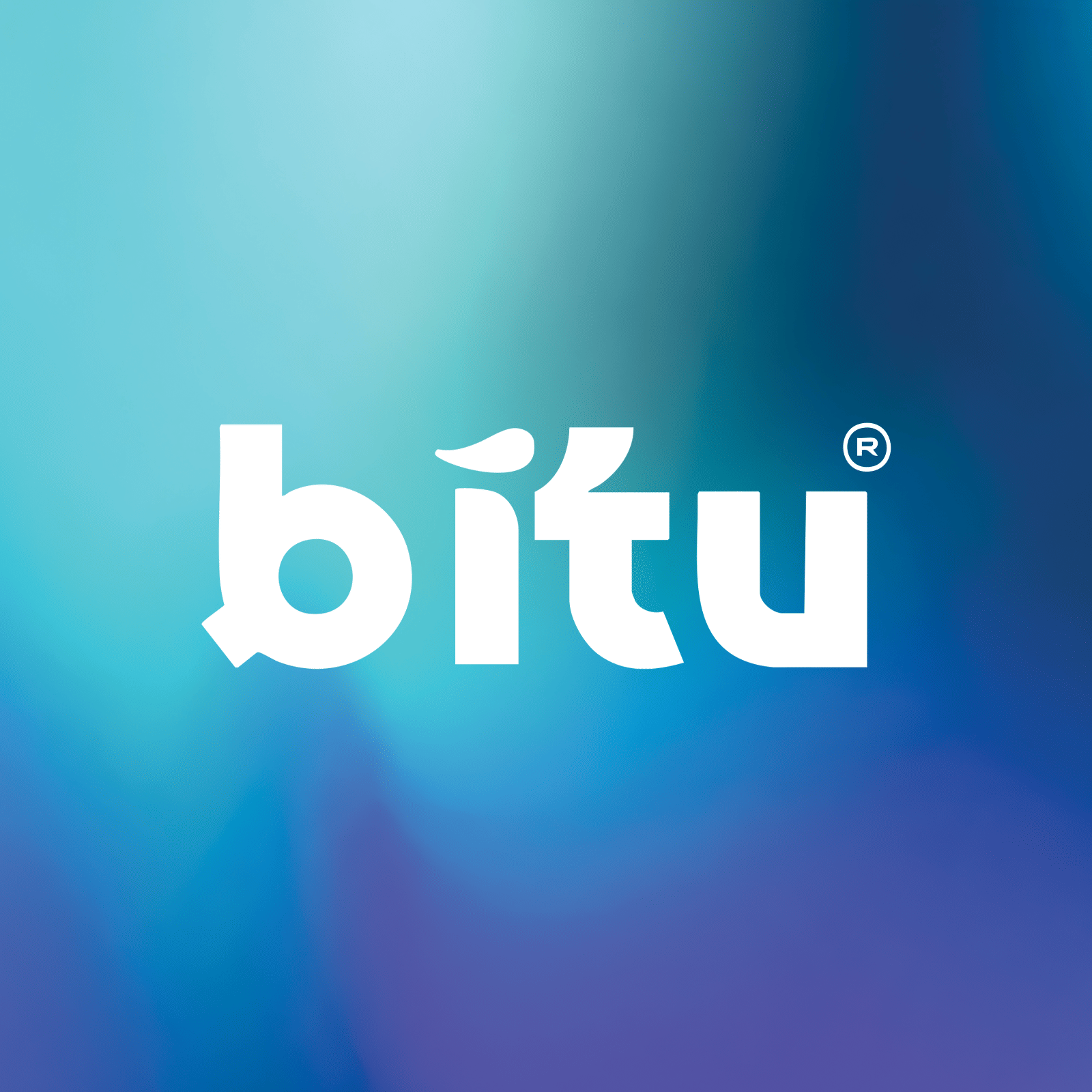 Bitu Agency