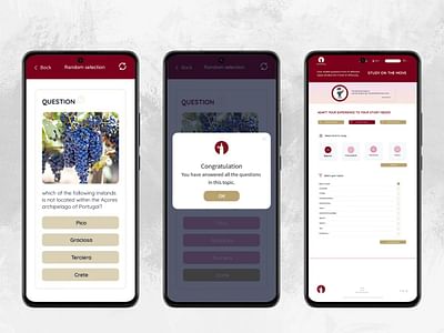 Sommninja - Plateforme d’apprentissage du vin - Web Application