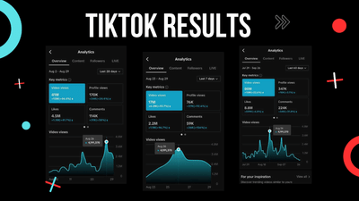 TikTok Growth Case Study: 8.8M Likes & 347K Profile Views in 60 Days - Reclame