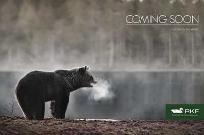 Bear - Advertising
