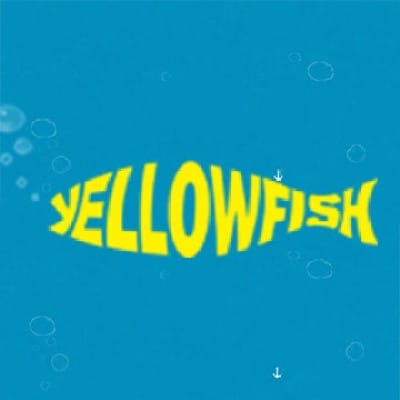 Yellow Fish Lab
