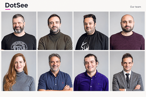 DotSee Web Services cover