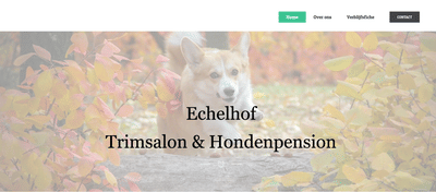 WEBSITE ONTWERP EN LOGO ONTWERP - ECHELHOF - Design & graphisme