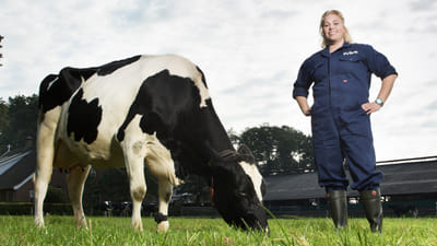 FrieslandCampina - Reclame