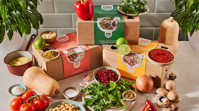DishUp Fresh Flavours Brand + Activation - Branding & Positioning