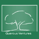 Quercus Ventures - Boutique De Consultoría logo
