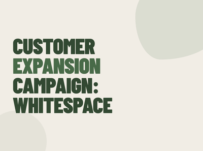 Customer Expansion Campaign: Product Feature Whitespace - Marketing