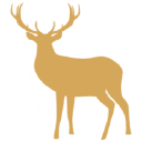Sanmedia