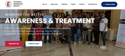 Ethiopian Hemophilia Society Website Design - Website Creation