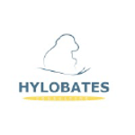 Hylobates Consulting Srl logo
