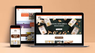 Développement PrestaShop - E-commerce