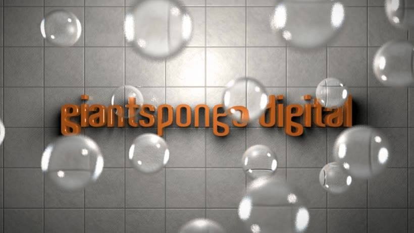 GiantSponge Digital cover