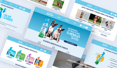 Brand portal development & personality test - Branding y posicionamiento de marca