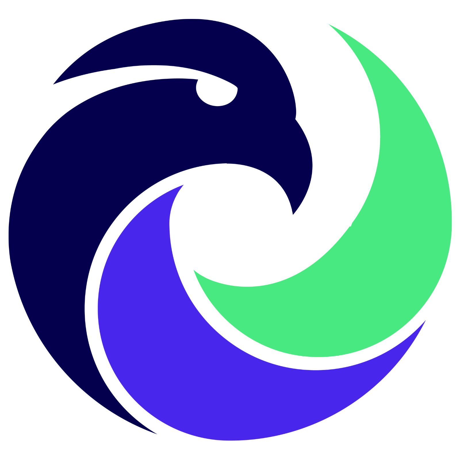 SEO BUSINESS Srl