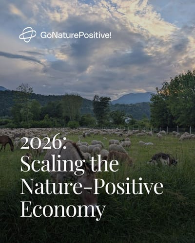 GoNaturePositive! - Content Strategy