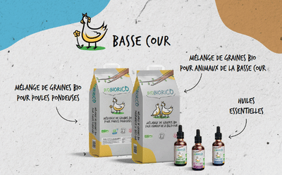 GERSYCOOP - IMAGE DE MARQUE & OUTILS DE COM - Branding & Positioning