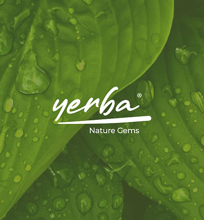 Yerba Brand Identity Design - Packaging