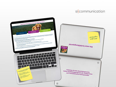 Kreatives Service-Mailing für Fachkräfte - Public Relations (PR)
