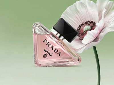 Wikiparfum: Fragrance Discovery Platform and App for Puig - Application web