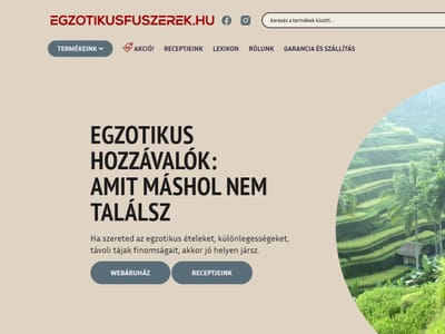 Magento 2 Spice Webshop: Rebuild, VPS, Performance - Cloud Consulting
