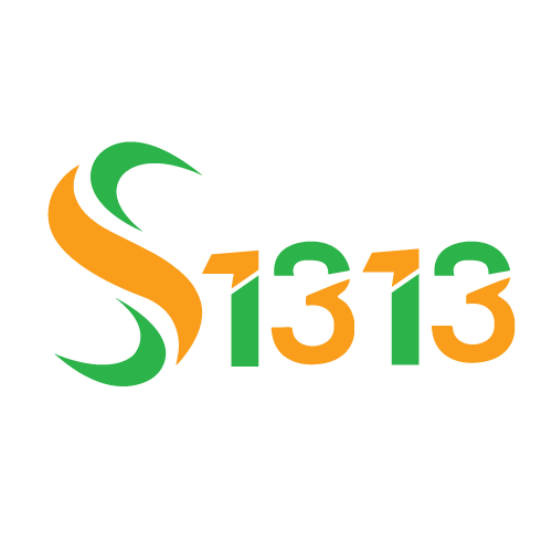 Solutions1313