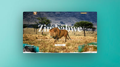 Ankawa Safari Diseño web - Graphic Design