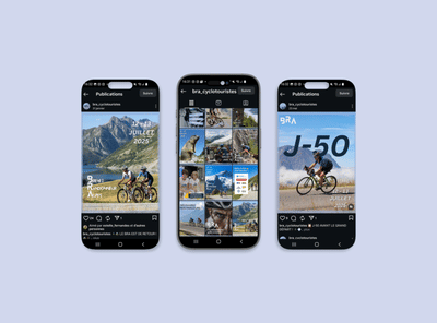 Le Brevet de Randonneur des Alpes - Website Creatie