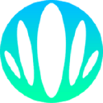 Kingfluencers AG | Holistic Digital Influence Agency