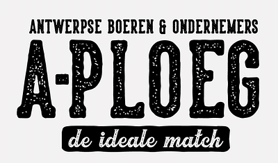 Totaalplaatje van de A-ploeg - Branding & Positionering